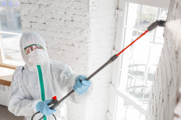 Best Mold Remediation for Specific Building Types in Philippi, WV